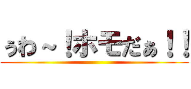 ぅわ～！ホモだぁ！！ ()