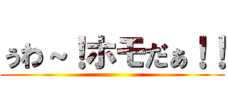 ぅわ～！ホモだぁ！！ ()