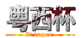 粤西杯 (It is you.)