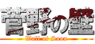 菅野の壁 (Wall of Soon)