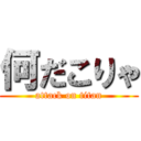 何だこりゃ (attack on titan)