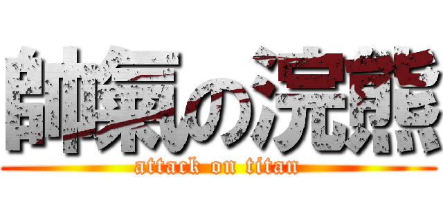 帥氣の浣熊 (attack on titan)