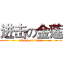 进击の金莲 (attack on titan)
