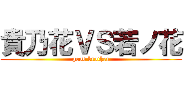 貴乃花ＶＳ若ノ花 (good brother)