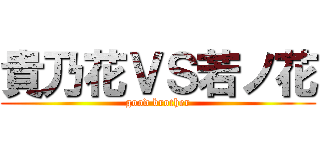 貴乃花ＶＳ若ノ花 (good brother)