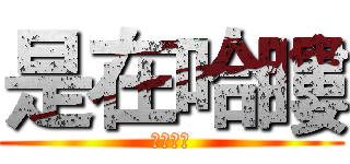 是在哈瞜 (好醜好醜)
