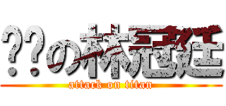 耖咖の林冠廷 (attack on titan)