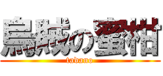 烏賊の蜜柑 (tadano)