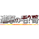 進撃の毛驊哥 (attack on titan)