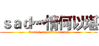 ｓａｄ灬情何以堪 (Cassel executive branch)