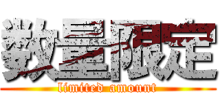 数量限定 (limited amount)