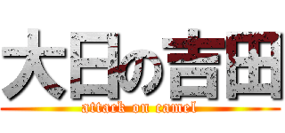 大日の吉田 (attack on camel)