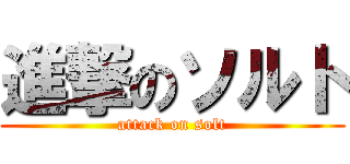 進撃のソルト (attack on solt)