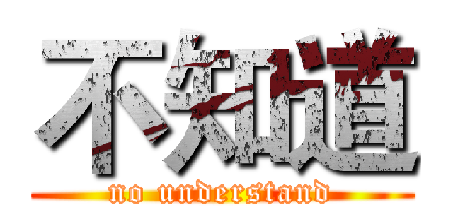 不知道 (no understand)