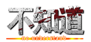 不知道 (no understand)