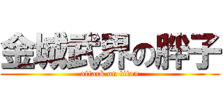 金城武界の胖子 (attack on titan)