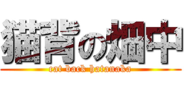 猫背の畑中 (cat back hatanaka)