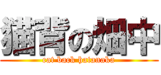 猫背の畑中 (cat back hatanaka)