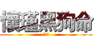 懷瑾黑狗命 (真可憐)