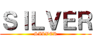 ＳＩＬＶＥＲ (SILVER)