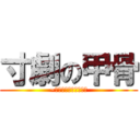 寸劇の甲骨 (~そんな甲骨で大丈夫か)