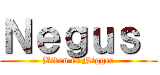 Ｎｅｇｕｓ  (Biden is Nigger)