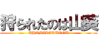狩られたのは山葵 (UHAMIKAKUTOU)