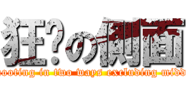 狂揪の側面 (Shooting in two ways excluding middle)