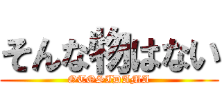 そんな物はない (OTOSIDAMA)