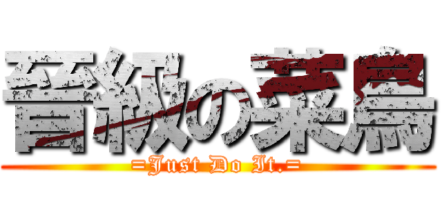 晉級の菜鳥 (=Just Do It.=)