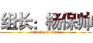 组长：杨保帅 (attack on titan)