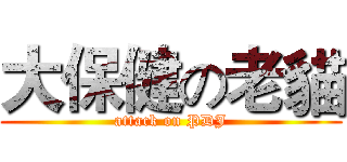 大保健の老貓 (attack on PDJ)
