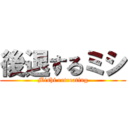 後退するミシ (Mishi retreating)