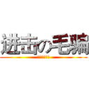 进击の毛骗 (人类最后の翼)