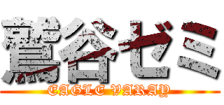 鷲谷ゼミ (EAGLE VARAY)