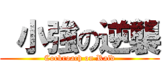  小強の逆襲 (Cockroach on Raid)