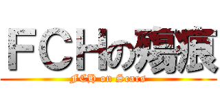 ＦＣＨの殤痕 (FCH on Scars)