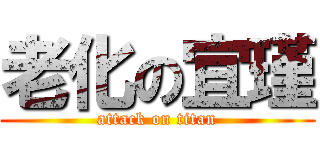 老化の宜瑾 (attack on titan)