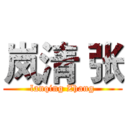 岚清 张 (lanqing Zhang)