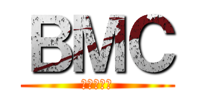 ＢＭＣ (保桿專販店)