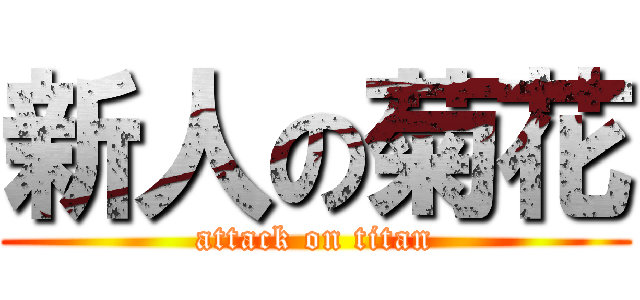 新人の菊花 (attack on titan)
