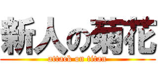 新人の菊花 (attack on titan)