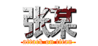 张某 (attack on titan)