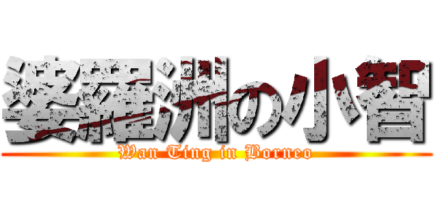 婆羅洲の小智 (Wan Ting in Borneo)