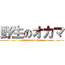 野生のオカマ (attack on titan)