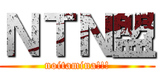 ＮＴＮ盟 (noitamina!!!)