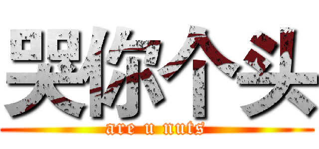 哭你个头 (are u nuts)