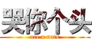 哭你个头 (are u nuts)