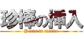 珍棒の挿入 (Penis in manko)