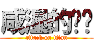 咸湿的晓啪 (attack on titan)
